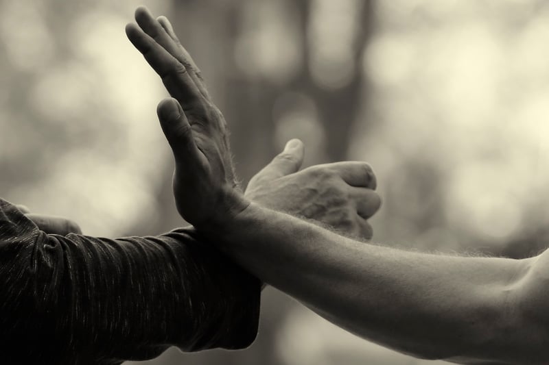 Sun Style Tai Chi